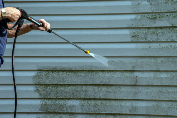 Best Patio and Deck Pressure Washing  in Hughesville, PA